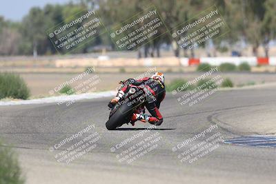 media/Sep-07-2025-Pacific Track Time (Sun) [[a6322260b9]]/C Group/Wheelie Bump/